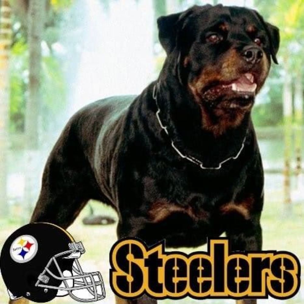 Meet your Posher, Dewayne